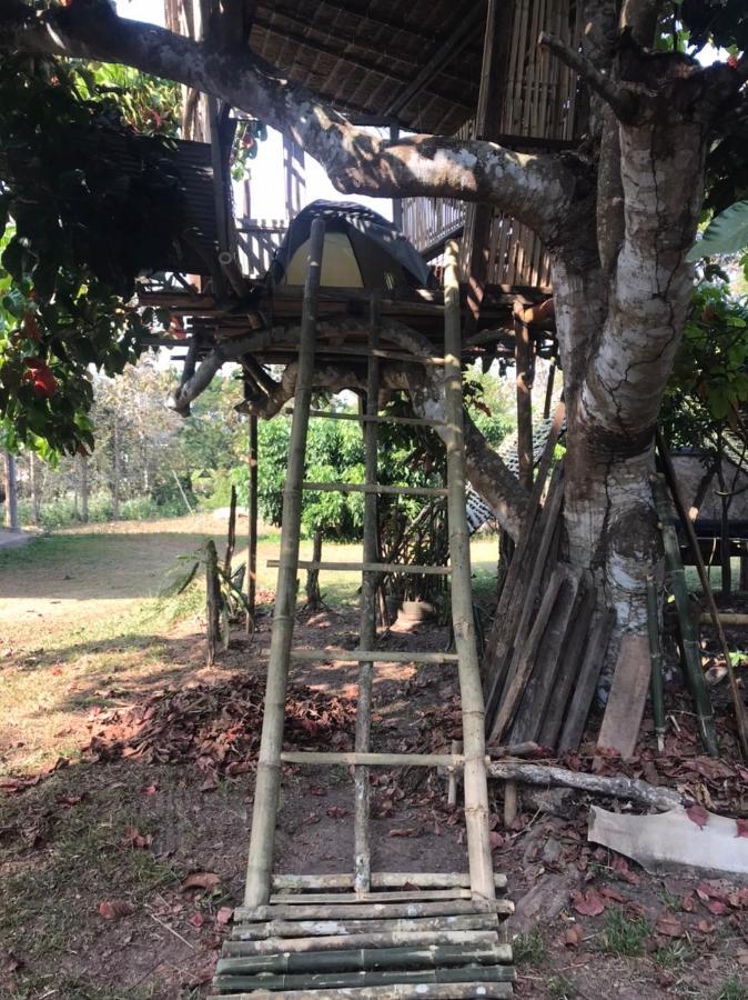 Amando_Tent Otel Phayao Dış mekan fotoğraf