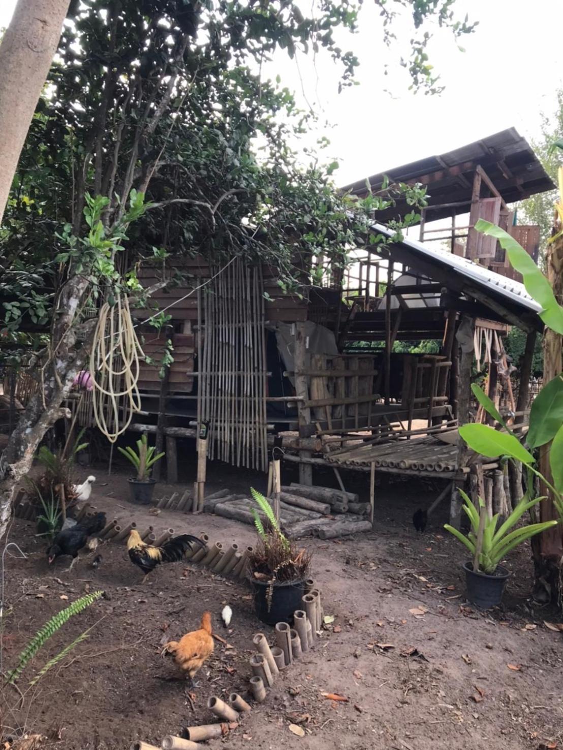 Amando_Tent Otel Phayao Dış mekan fotoğraf